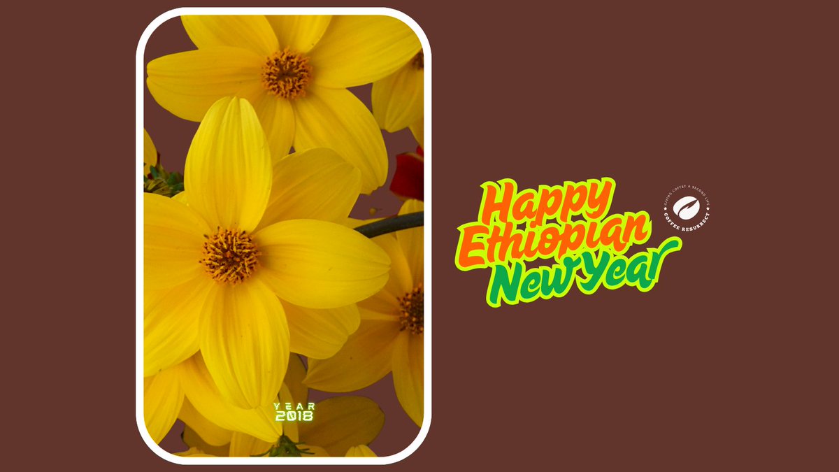 Happy Ethiopian New Year to our team, partners, and backers!

Join us in accelerating this transformation. Let’s brew a better future—one cup and one circular solution at a time.