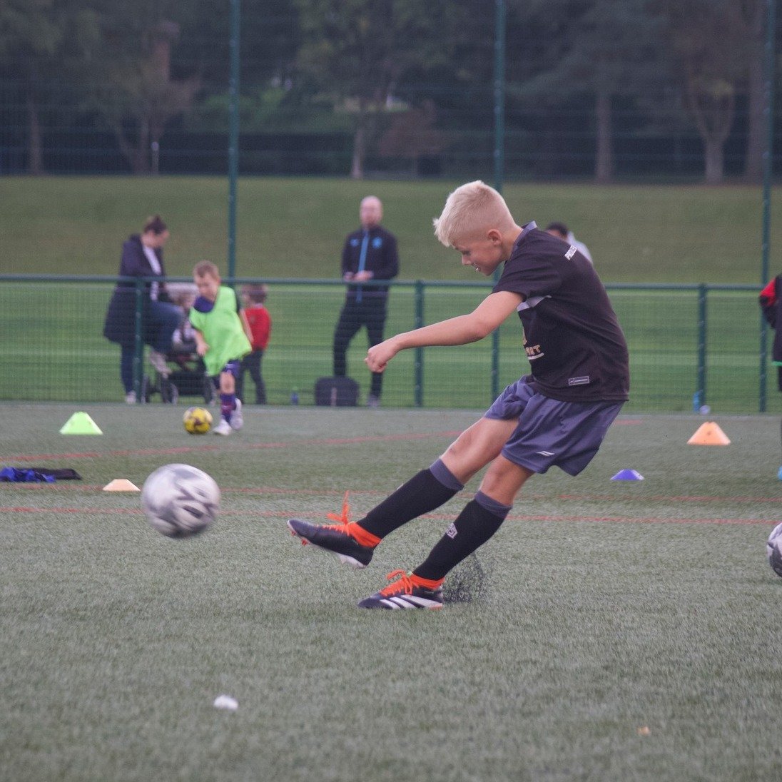 Pro Level Academy tweet media