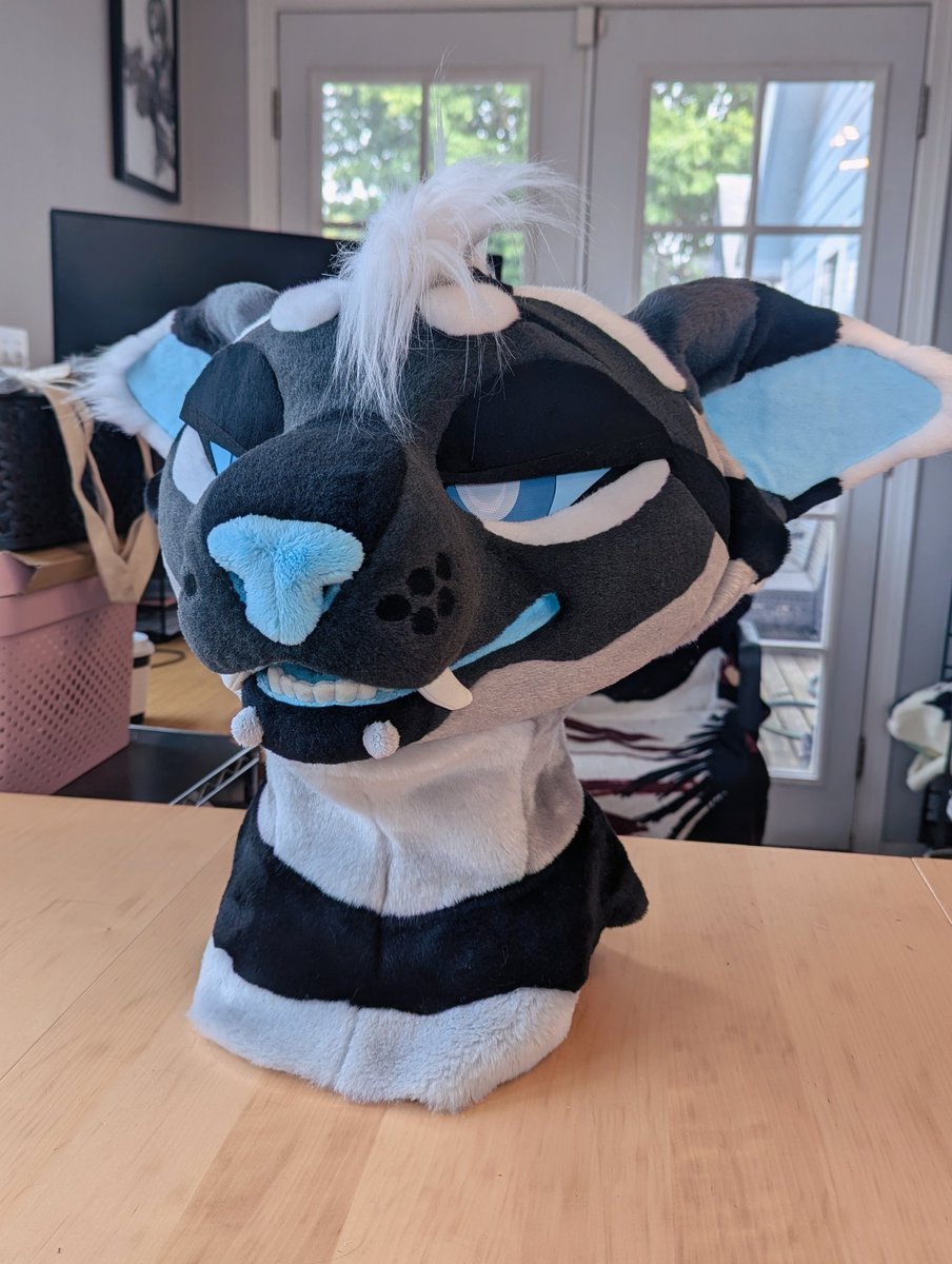 big eared kitty !!!!