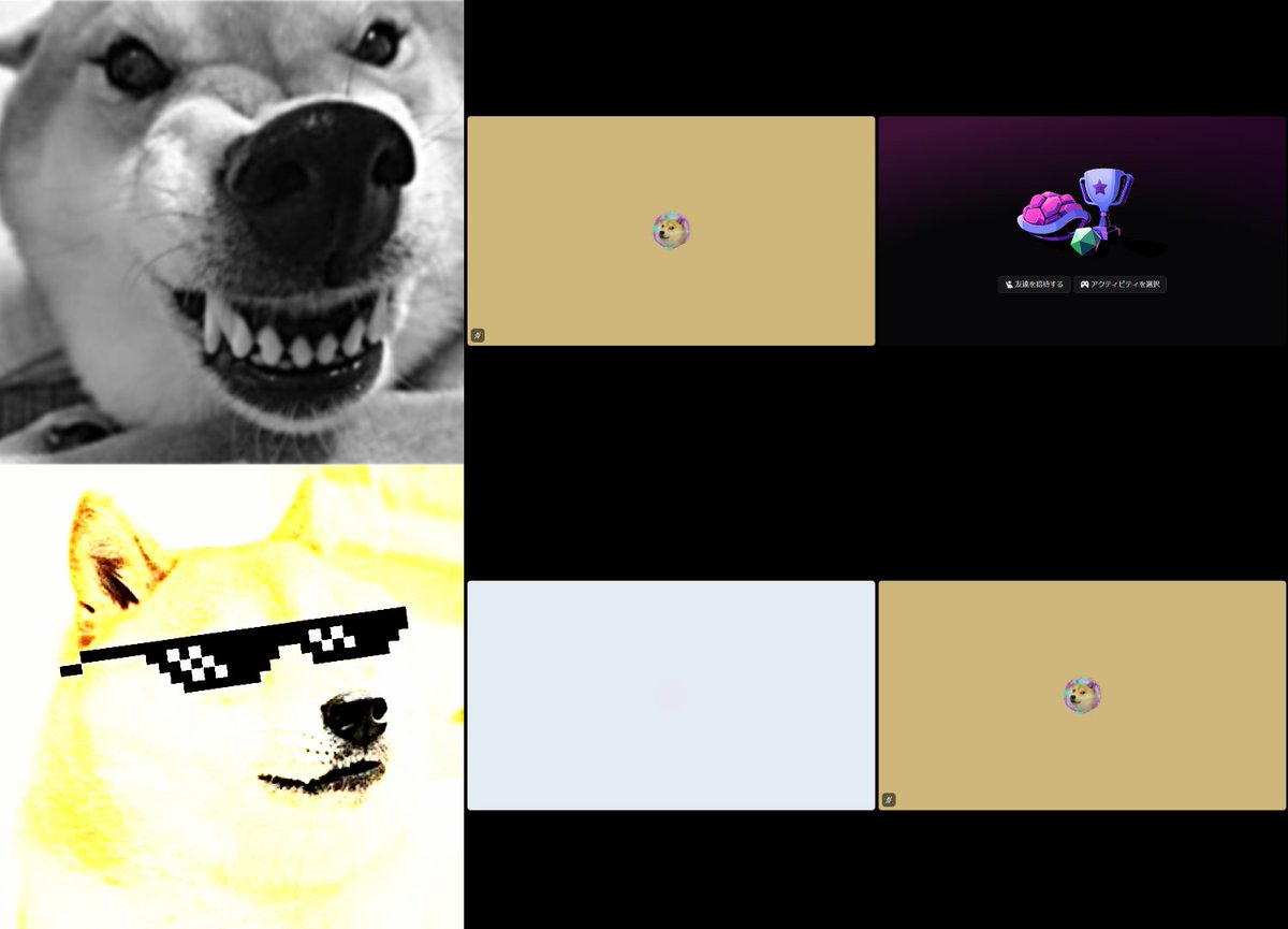 あなたのサーバーにも、Vocalisを🎤