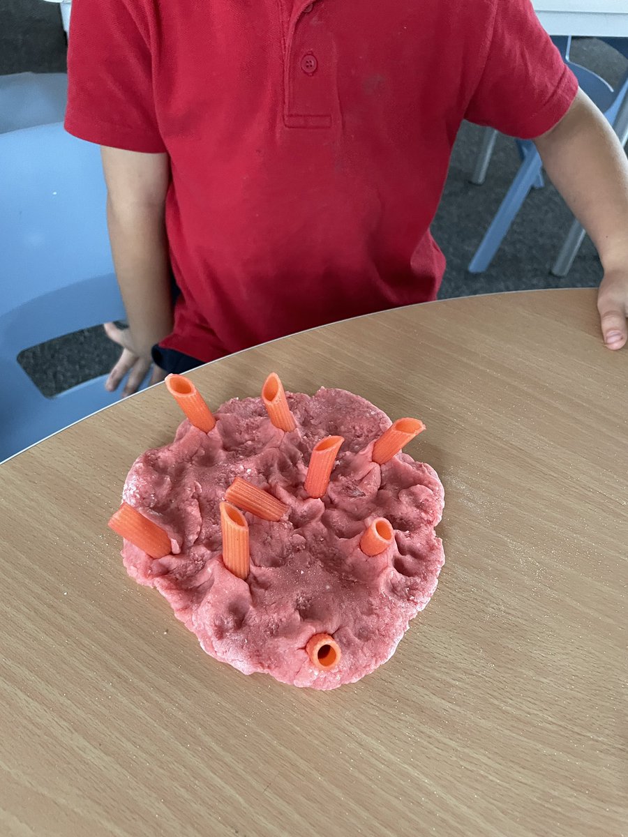 In Science, P2/3 are learning about Body Systems .  Today we looked at different parts of the Heart and how they all work together to keep us alive.   #learningthroughplay #playscotland