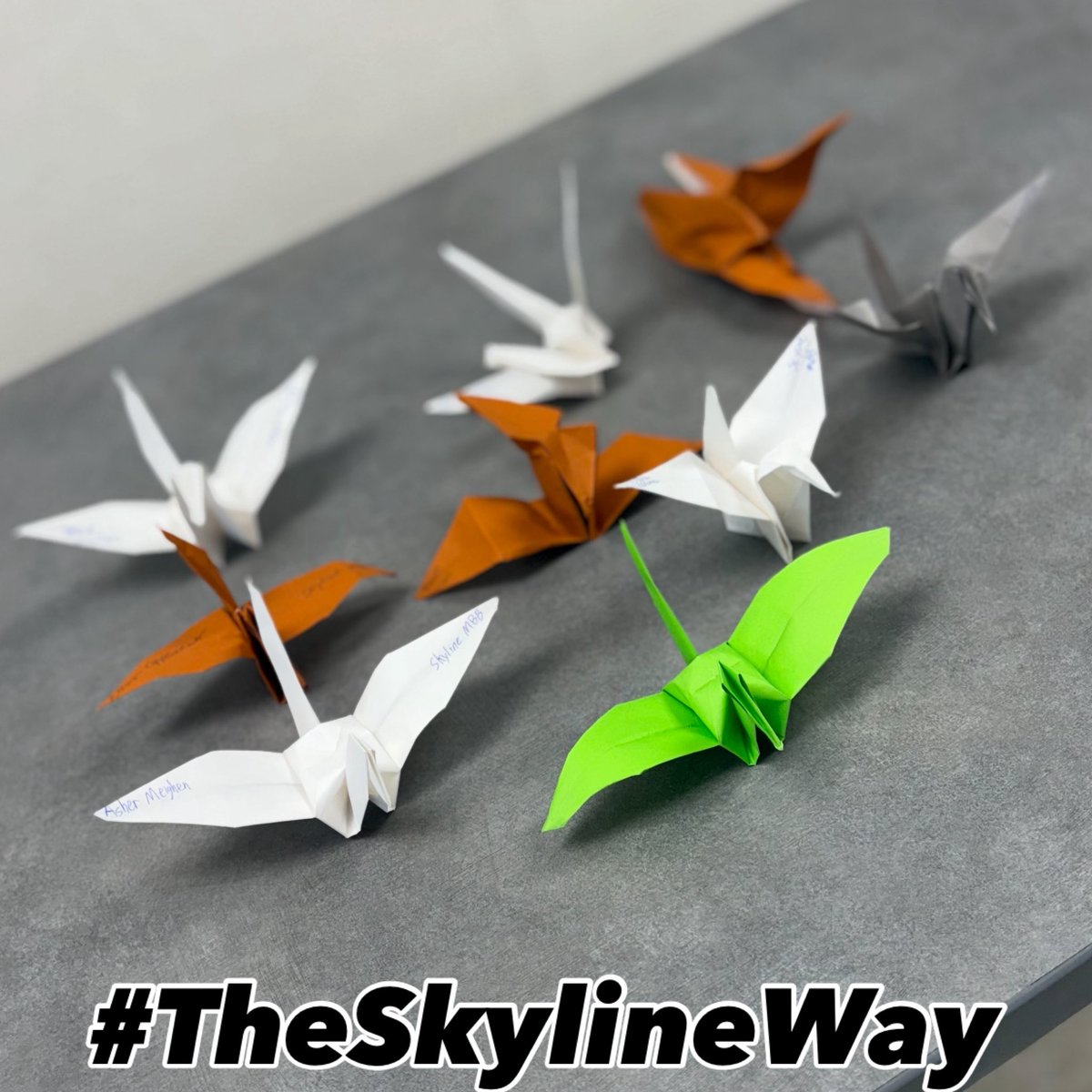Great day learning about process and attention to detail with our #SkylineMBBFam
#TheSkylineWay