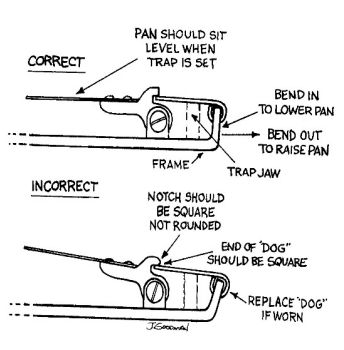 TPCMag's tweet image. Tuning Tip - Level Your Pan
An uneven pan can spook wary predators or cause misfires.
Use a small file or adjust the dog so the pan sits perfectly level.
Do you prefer a hair-trigger pan, or a little heavier?
#TrapTuning #TrappingTips #TrappersLife