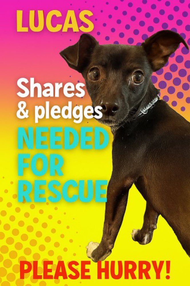 So In an attempt to help Lucas and because he had one crappy picture, our very talented folks in Rocky Mount NC Critical Networking came up with some help for Lucas!!  Please pledge and retweet for Lucas.