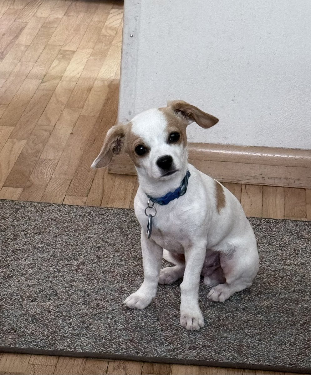 Sherman being himself