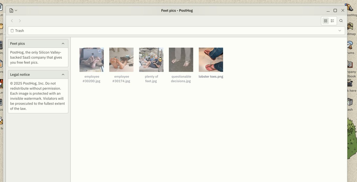 Ridd 🤿 tweet media