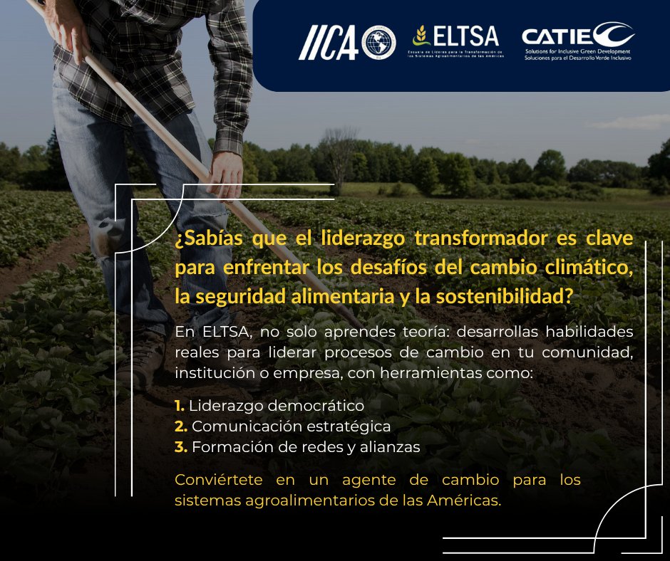 🧐¿Te interesan los temas vinculados con la seguridad alimentaria, la sostenibilidad y el cambio climático? ¡Esta formación es para ti!
🎓 Inscríbete en el Programa de Especialización Técnica para la Transformación de los Sistemas Agroalimentarios.
🤝Una propuesta impulsada por