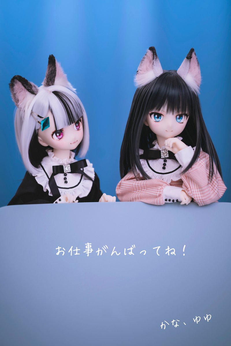 shiitake028's tweet image. 今日も一日

#ぽもろこ