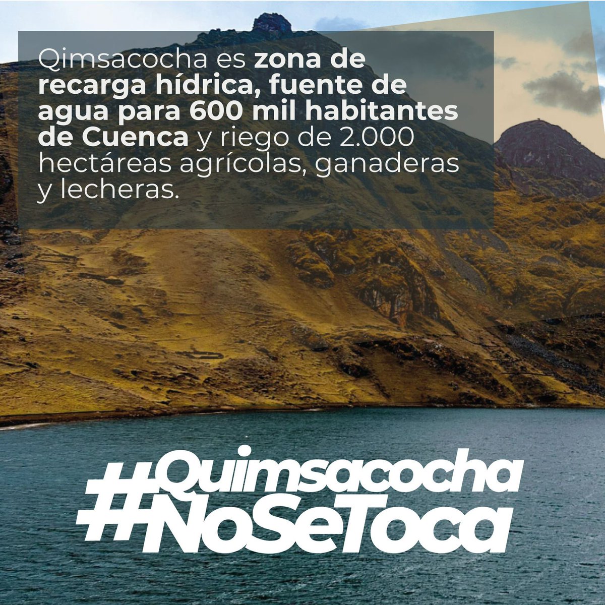 Liz Chica (@lichizchik) on Twitter photo #QuimsacochaNoSeToca
La explotación minera en el páramo de Quimsacocha es incompatible con la fragilidad del ecosistema y amenaza con contaminar los ríos Irquis, Portete, Tarqui y Yanuncay, fuentes de agua de Cuenca. Hoy, la Comisión de Biodiversidad, presidida por Camila León, #QuimsacochaNoSeToca
La explotación minera en el páramo de Quimsacocha es incompatible con la fragilidad del ecosistema y amenaza con contaminar los ríos Irquis, Portete, Tarqui y Yanuncay, fuentes de agua de Cuenca. Hoy, la Comisión de Biodiversidad, presidida por Camila León,