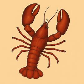 gratiskindle's tweet photo. Las langostas pueden vivir más de 100 años y siguen creciendo toda su vida. 🦞 https://t.co/ybHPKh66ne