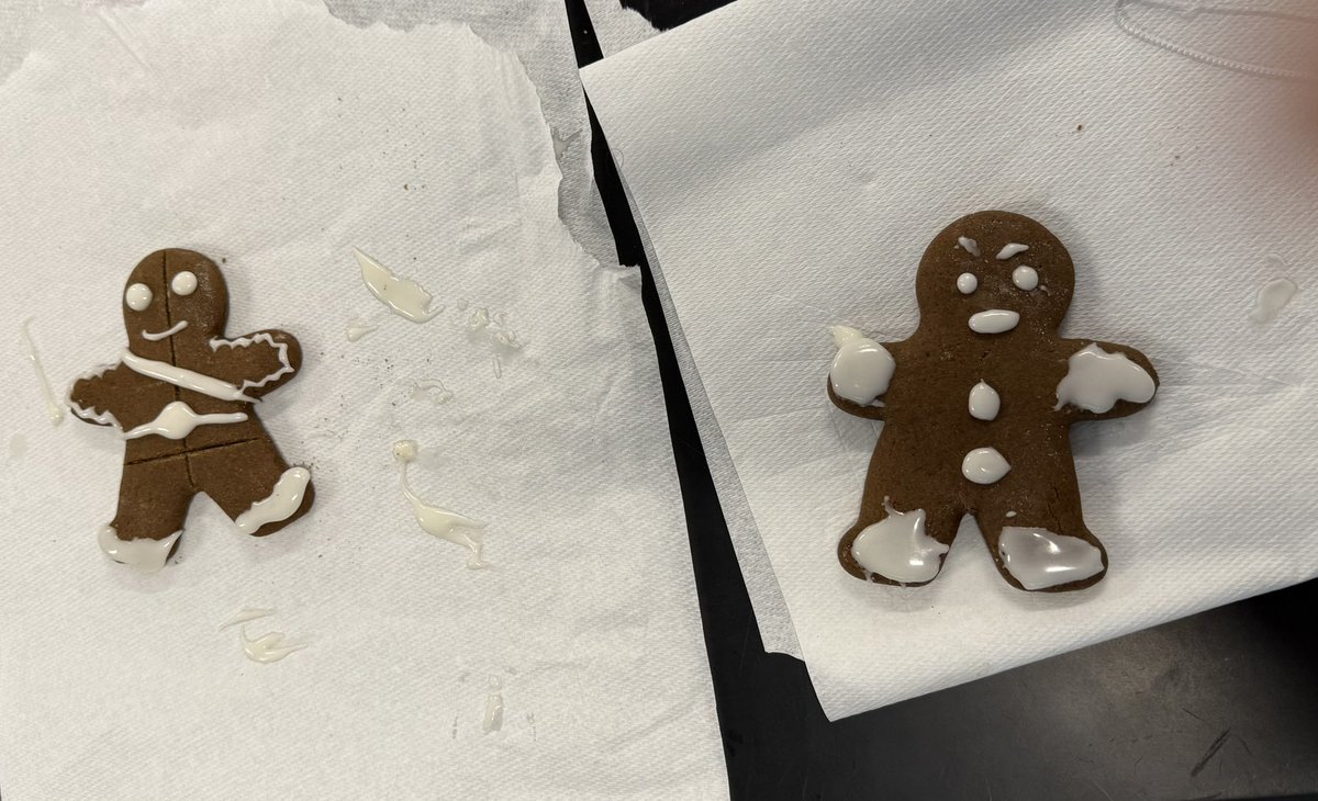 Who needs a cadaver when you’ve got a gingerbread man? 🍪✂️ Our anatomy students are practicing dissection planes and applying which are useful for real diagnoses 🩻👩‍⚕️👨‍⚕️ (these cookies never stood a chance 😂)