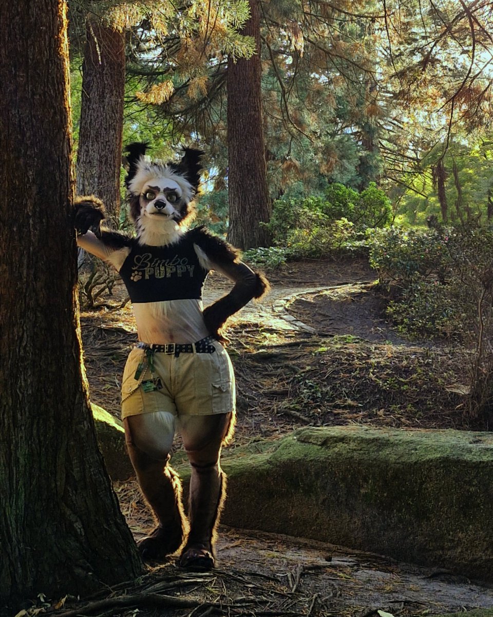 SpeyTime's tweet image. Walkies