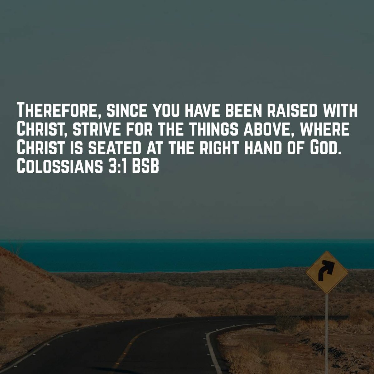 MochaChowder's tweet image. 