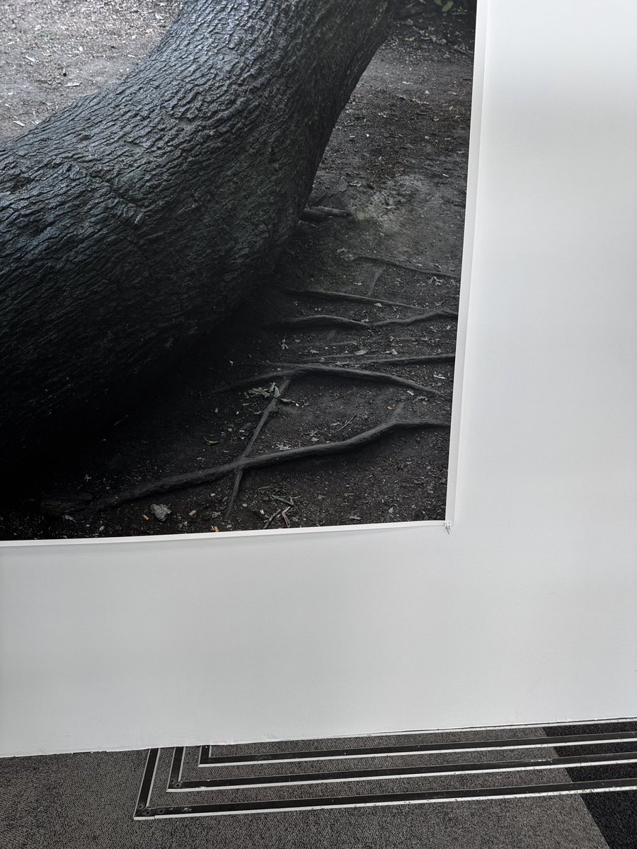 【新品未使用】HERMES　カレH100《フォーブル・オブ・ドリームズ》野村大輔 2025年最新】エルメス野村大輔の人気アイテム - メルカリ