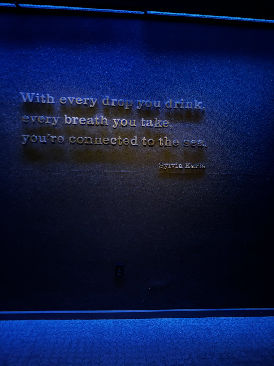 KimberlanSmith's tweet image. 🥹🐬🪼 i love the aquarium 🤍