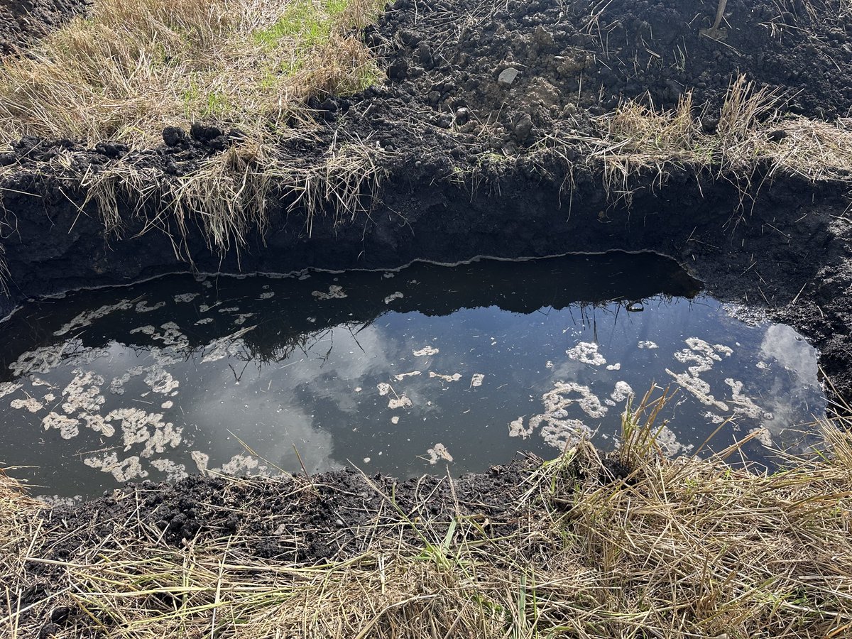 This is going to be an interesting soil pit for tomorrow's field day!!