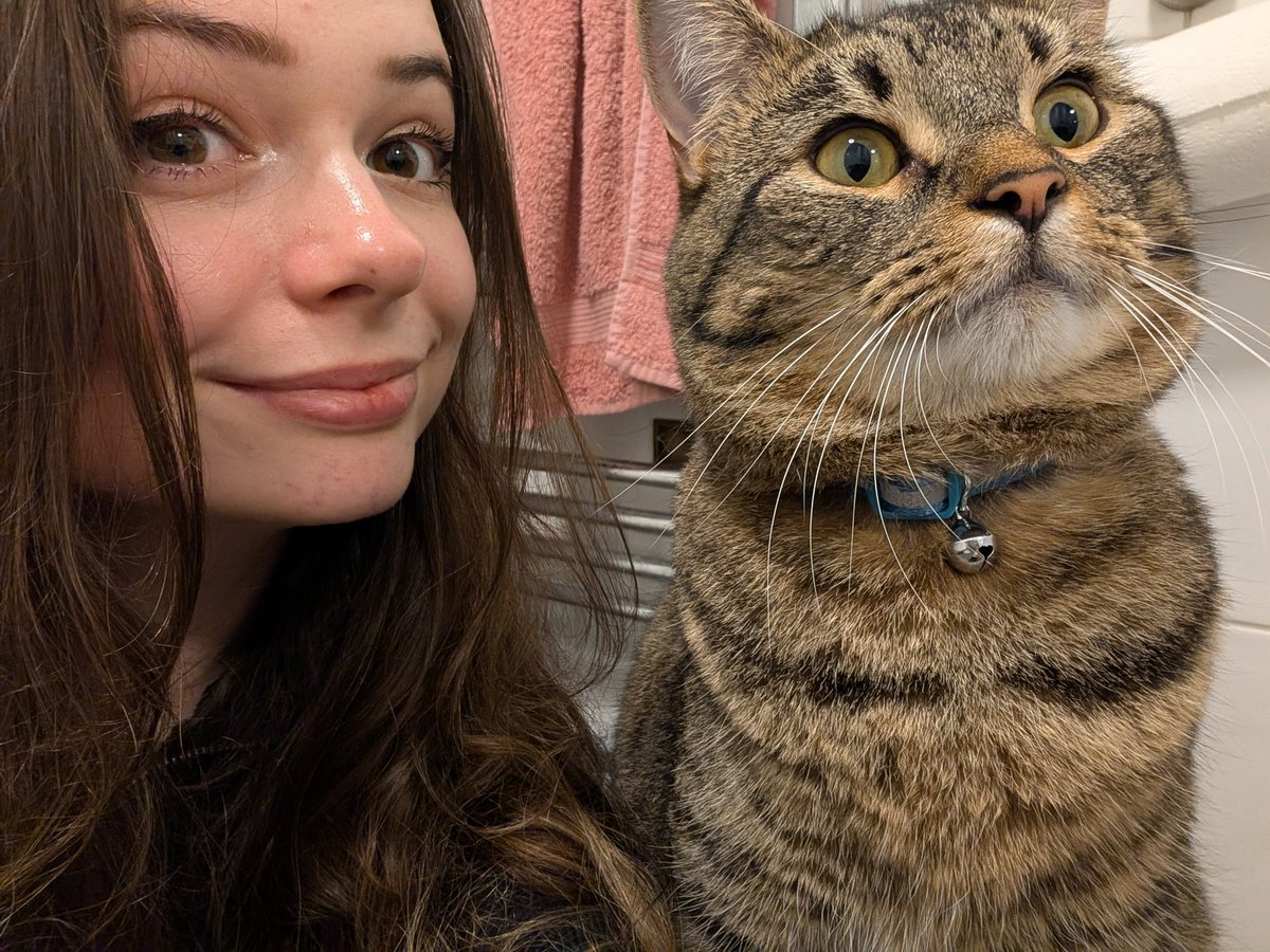 Sashaino tweet media