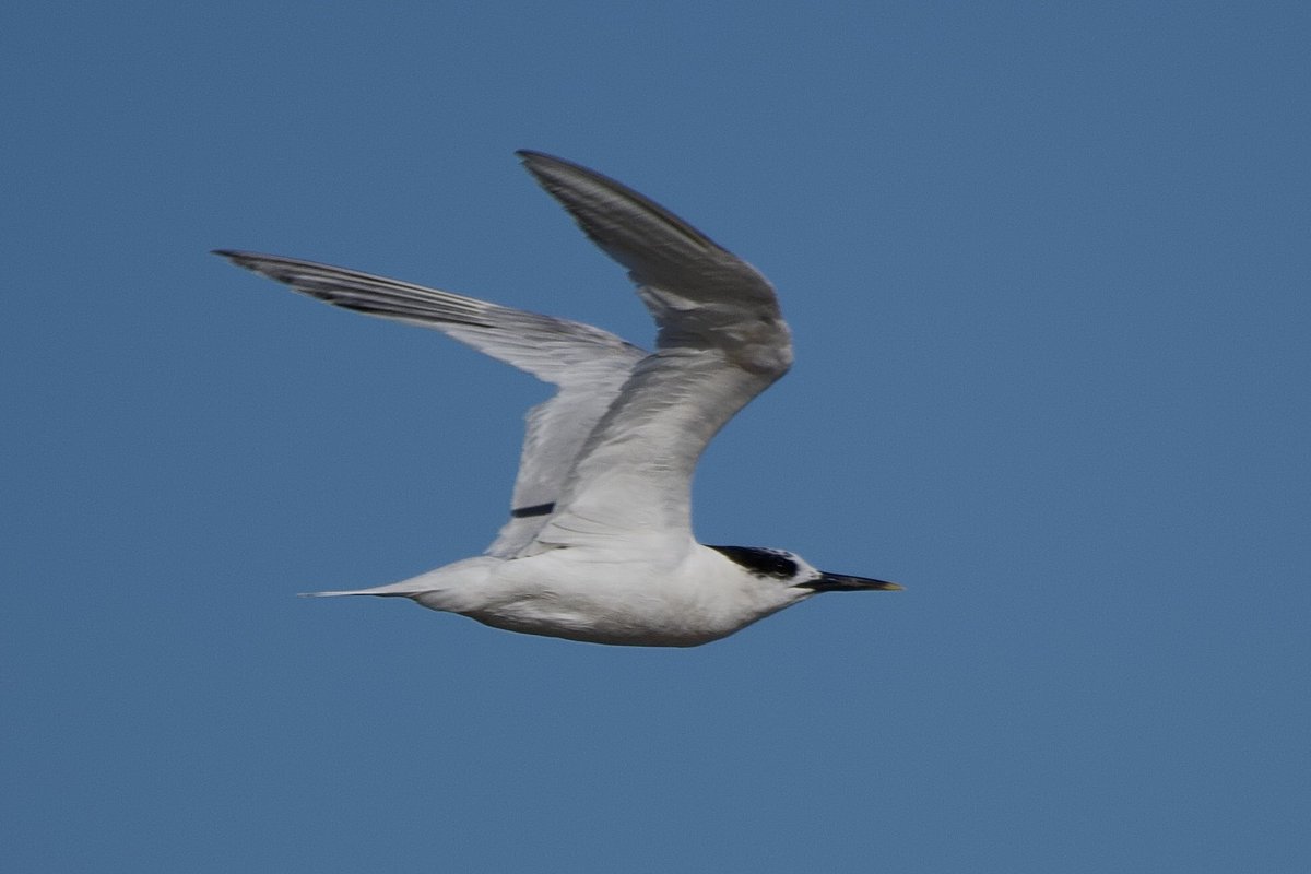 Mike O'Hanlon tweet media