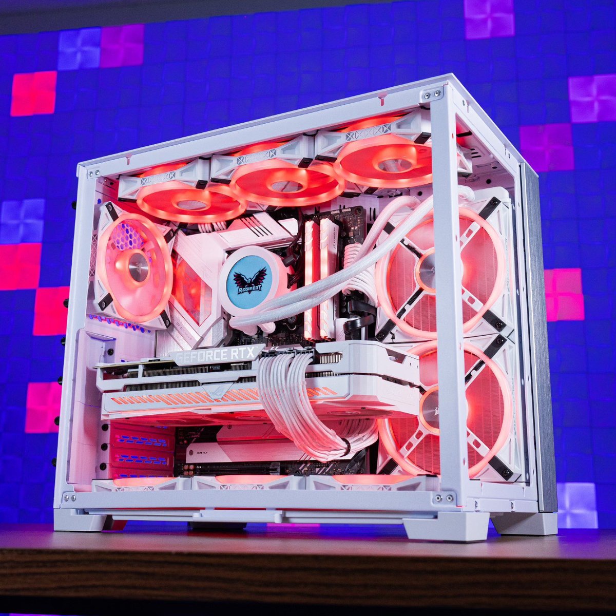 REGIMENT 🇺🇸 tweet media