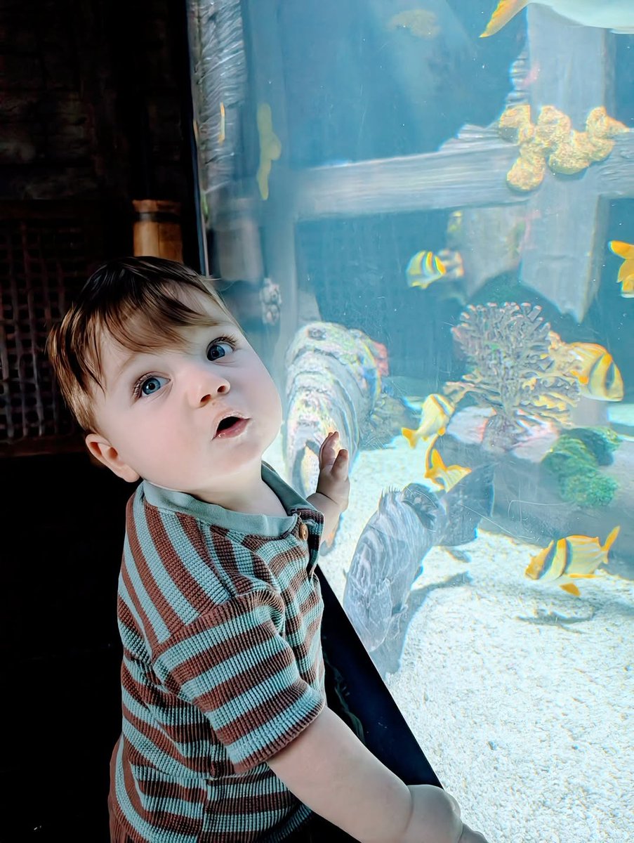 Even the littlest members of your family love the Downtown Aquarium! 🐠⁣