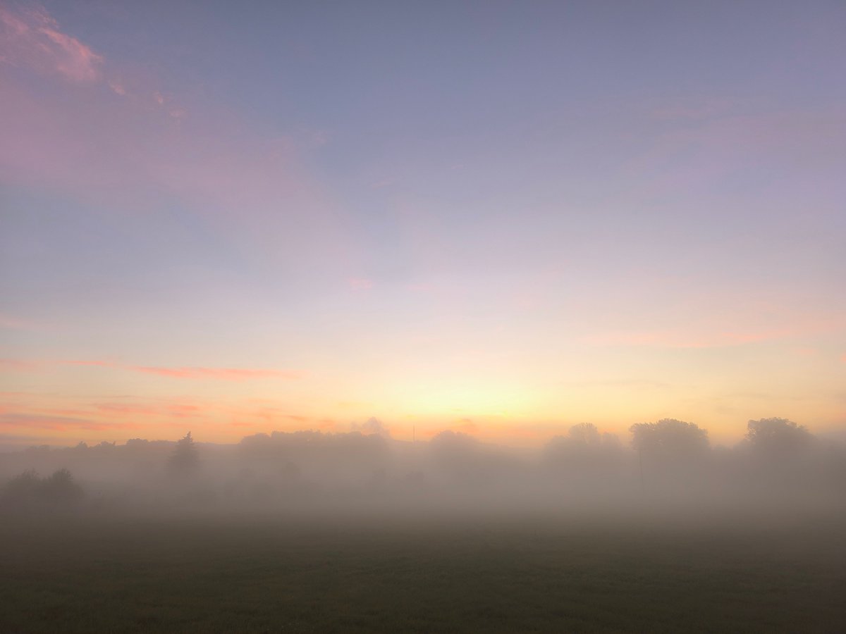 WetterOnline's tweet photo. 🌅 Am Morgen des 09.09.2025 zeigte sich in Wernshausen an der Werra eine wunderschöne herbstliche Morgenstimmung: zarter Nebel über der Landschaft, dazu farbenfrohe Wolken im Licht des Sonnenaufgangs – ein perfekter Start in den Tag! 🍂☀️
📷 Jörg Friedrich
#wernshausen #werra https://t.co/ScyKl5RI3k
