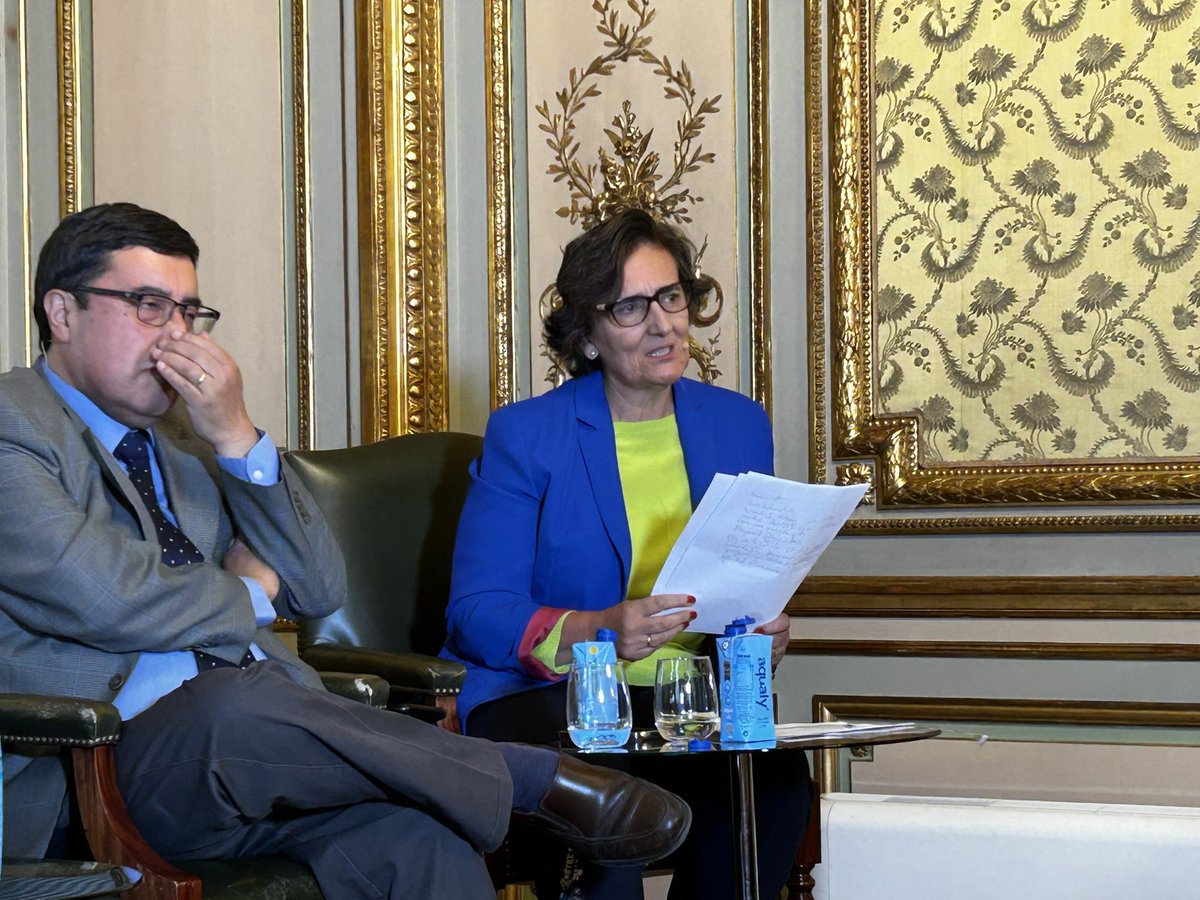 “Falta una regulación un poco más potente sobre redes sociales en contexto electoral, así como la hay para los medios tradicionales”, dice <a href="/loretoc/">Loreto Corredoira</a> en <a href="/casamerica/">Casa de América</a>, abordando la necesidad de adaptar la institucionalidad chilena a la transformación digital. <a href="/InfoyDesinfo/">Info / Desinfo</a>