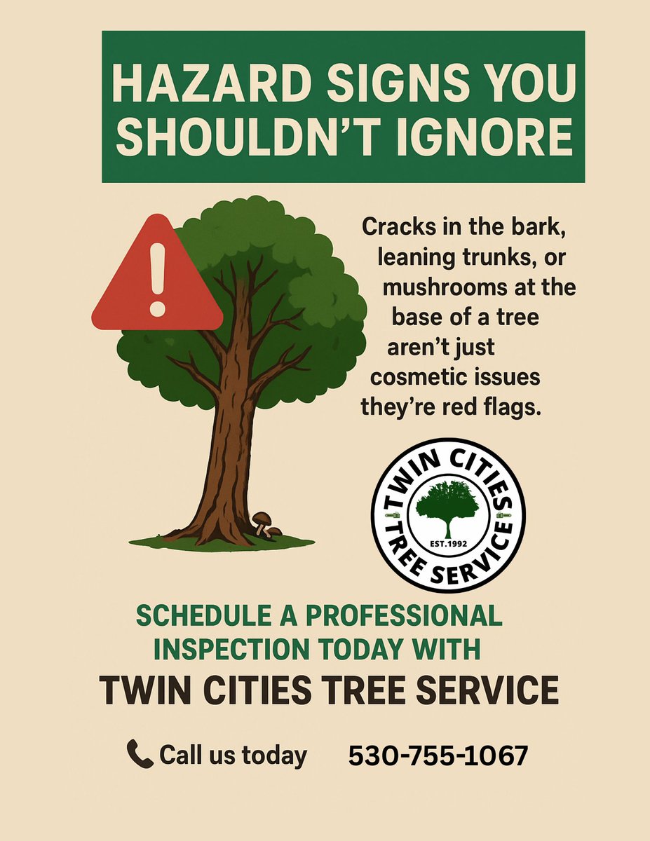 TwinCities_Tree's tweet image. Tree Trouble? Don’t Ignore the Signs!

Splits in bark, leaning trunks, or mushrooms at the base = potential danger. 

Your tree could be at risk of falling.
Protect your home &amp;amp; family schedule a professional inspection today!

 #TreeService #TreeSafety #TwinCitiesTreeService