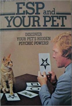 I used to think my cat was psychic but then I was convinced that he wasn’t and I was to buy him fresh tuna every day and to forget I ever wait what I was talking about