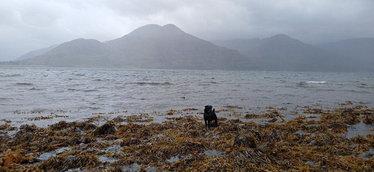 Blowing a hoolie ❤️🏴󠁧󠁢󠁳󠁣󠁴󠁿☔️