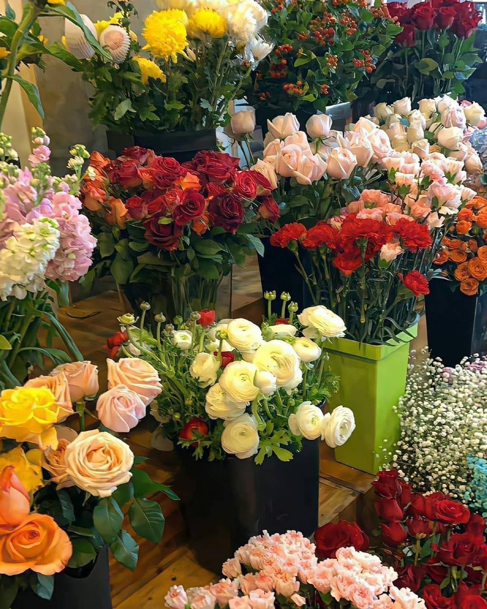 Xinya su (@xinyasu2) on Twitter photo 