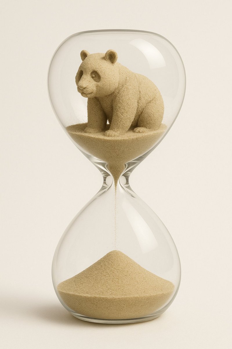 Faith_Lovecode's tweet image. It's Panda-Time