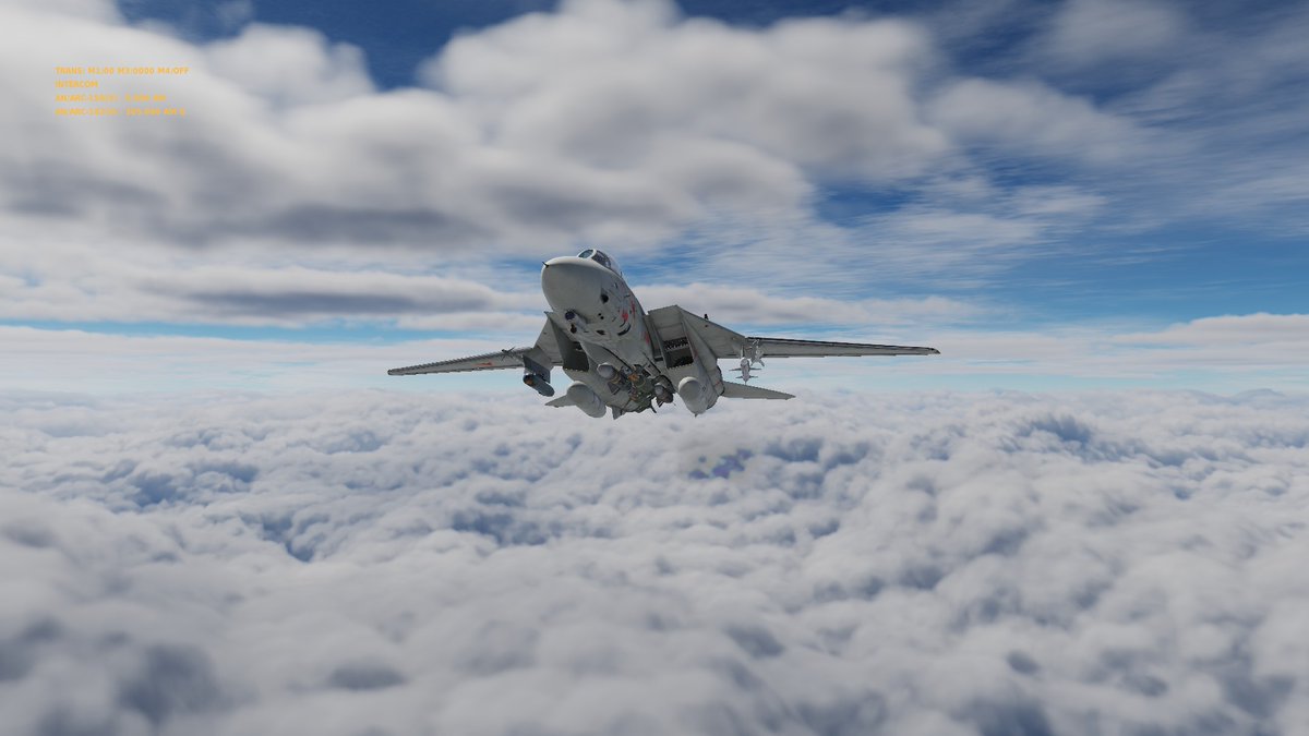 OperatorsUnited's tweet image. Tomcats