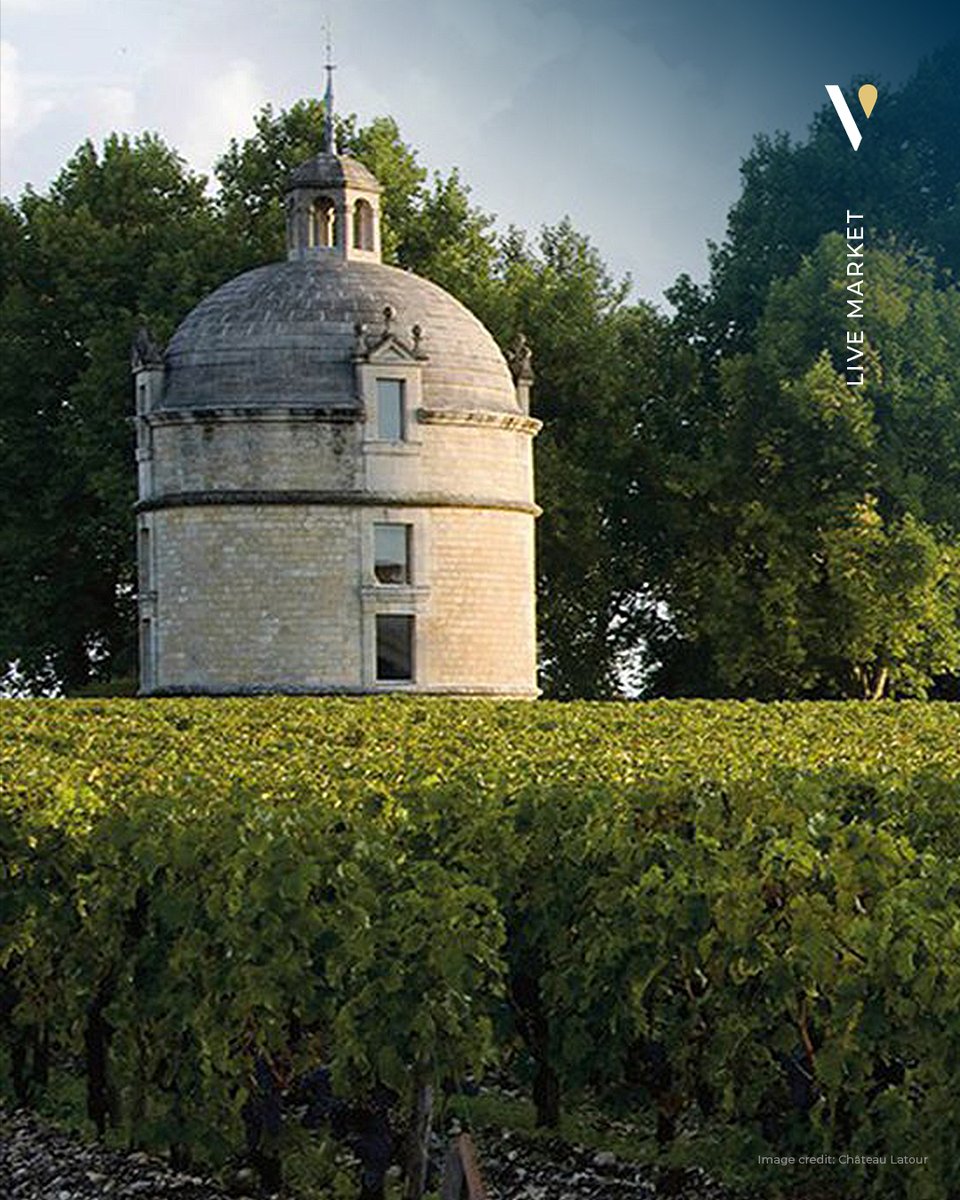 vindome_wine's tweet photo. 2012 Les Forts de Latour - Prestigious 2nd Label of Château Latour 
👉  https://t.co/FP9mURCYbe https://t.co/HrxP5DzLYy