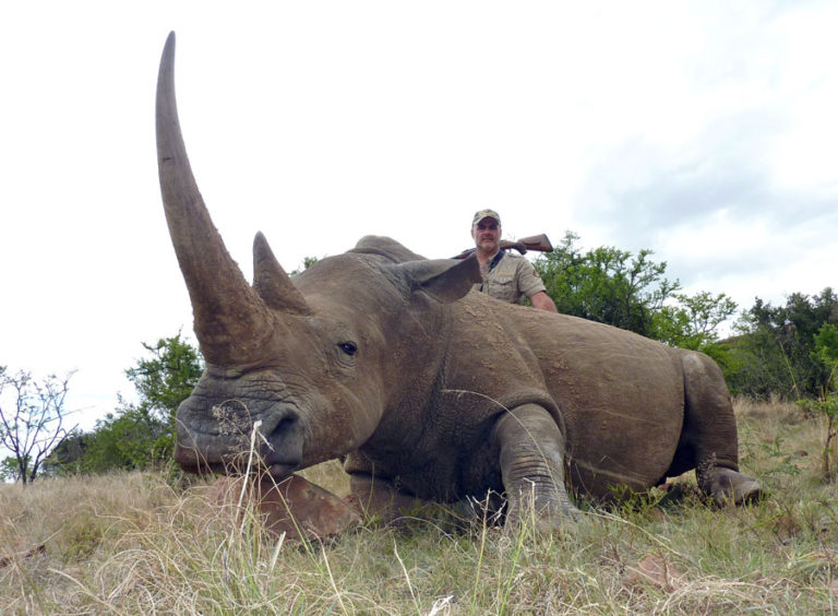 Artfamcdk's tweet image. 🚫 Trophy Hunting Will Never Be Conservation 🚫
Taking the life of a rhino for pride or display does not protect wildlife — it destroys it. Every rhino killed is a step closer to extinction, and the negative effects are devastating:

#trophyhuntingisnotconservation