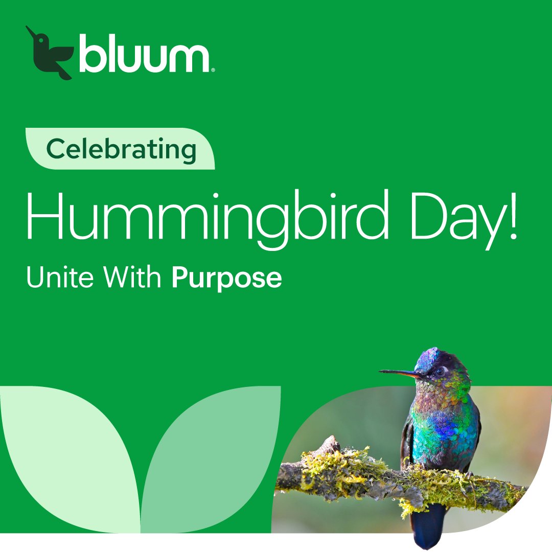 Bluum_EdTech's tweet image. We have an annual tradition here at Bluum to celebrate our culture and our people.

This year, we come together to celebrate Hummingbird Day under the theme “Unite with Purpose” with the three employee pillars that guide us: starting with a great employee experience, building…
