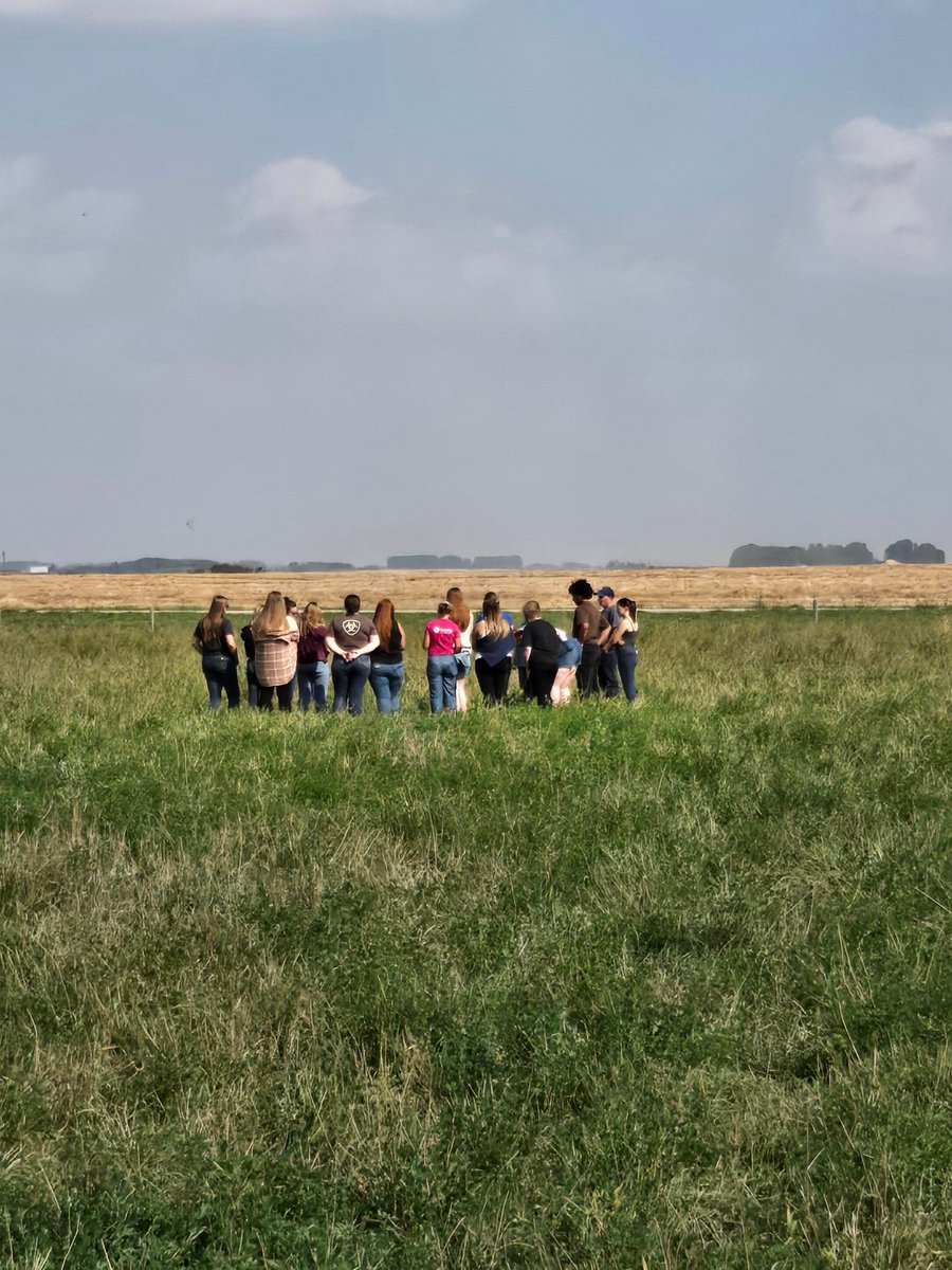 DrBart_Beef's tweet image. Great Pasture Field Lab with #AnimalScience students #ANSC410 #AppliedBeefForageResearch #HandsOnLearning Elizabeth Bamidele @KylieGrimes6 
Katrina Garneau #WaterInfiltration #ForageDynamics #PastureManagement #SoilHealth #HandsOnLearning
@agbiousask