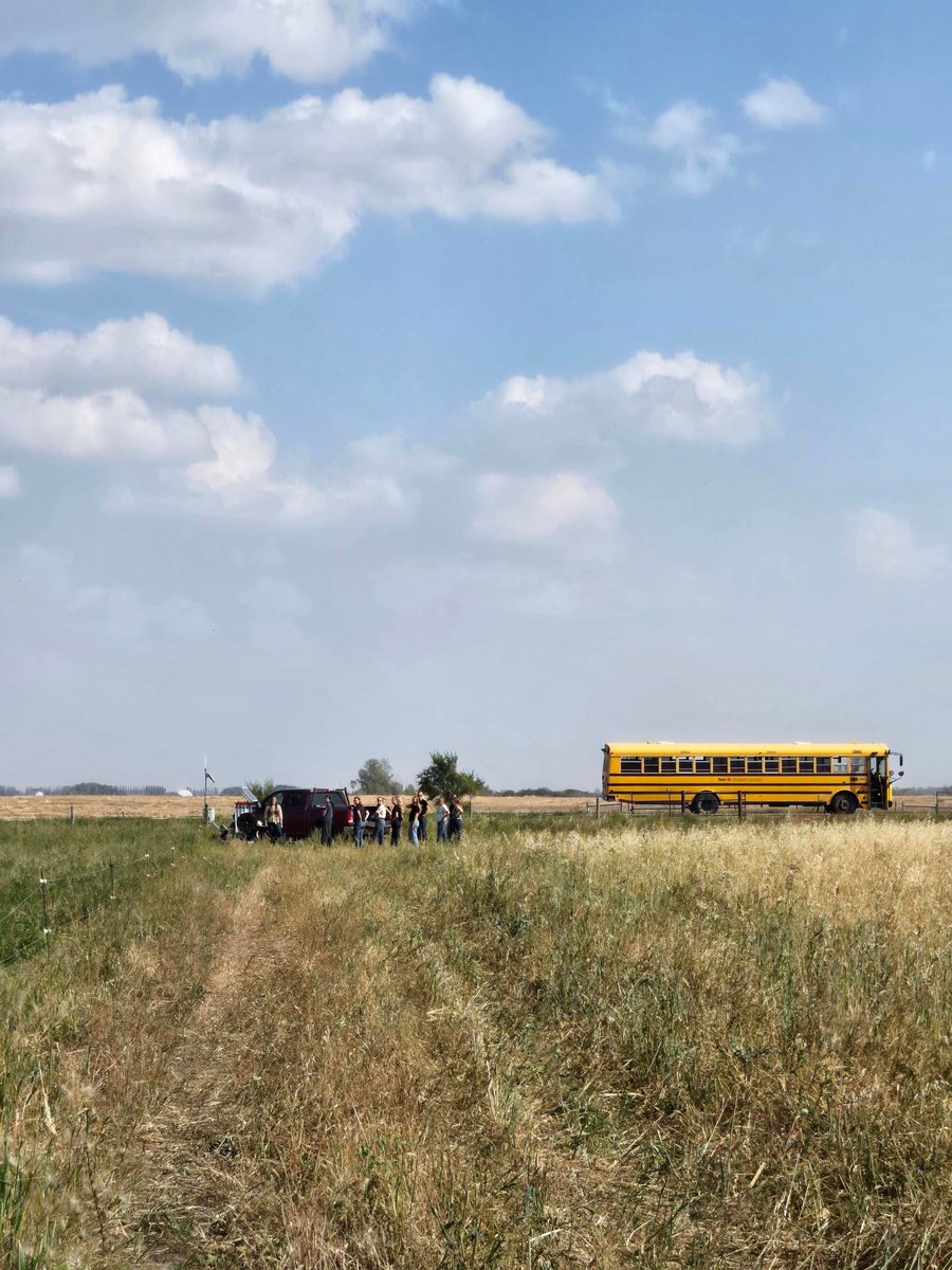 DrBart_Beef's tweet image. Great Pasture Field Lab with #AnimalScience students #ANSC410 #AppliedBeefForageResearch #HandsOnLearning Elizabeth Bamidele @KylieGrimes6 
Katrina Garneau #WaterInfiltration #ForageDynamics #PastureManagement #SoilHealth #HandsOnLearning
@agbiousask