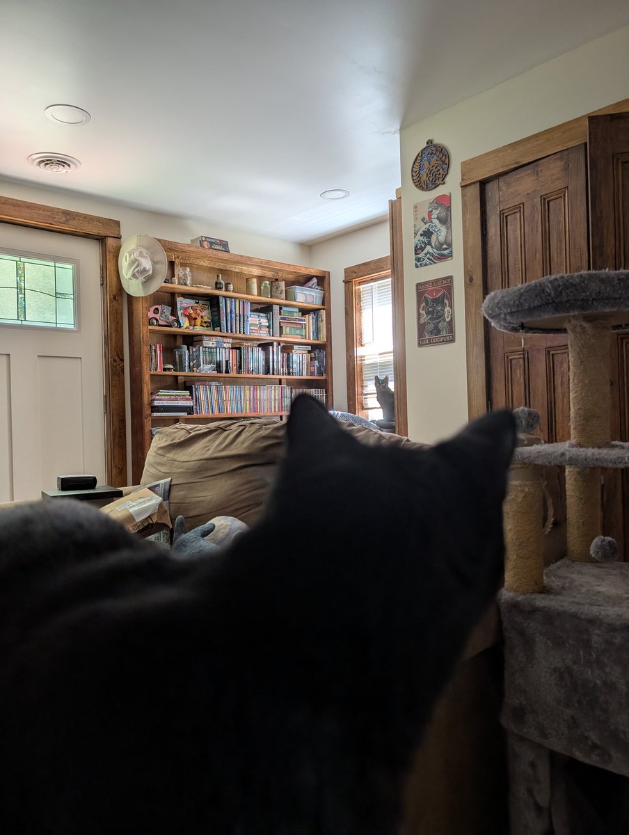 idonutk's tweet photo. https://t.co/OipRnGapHJ