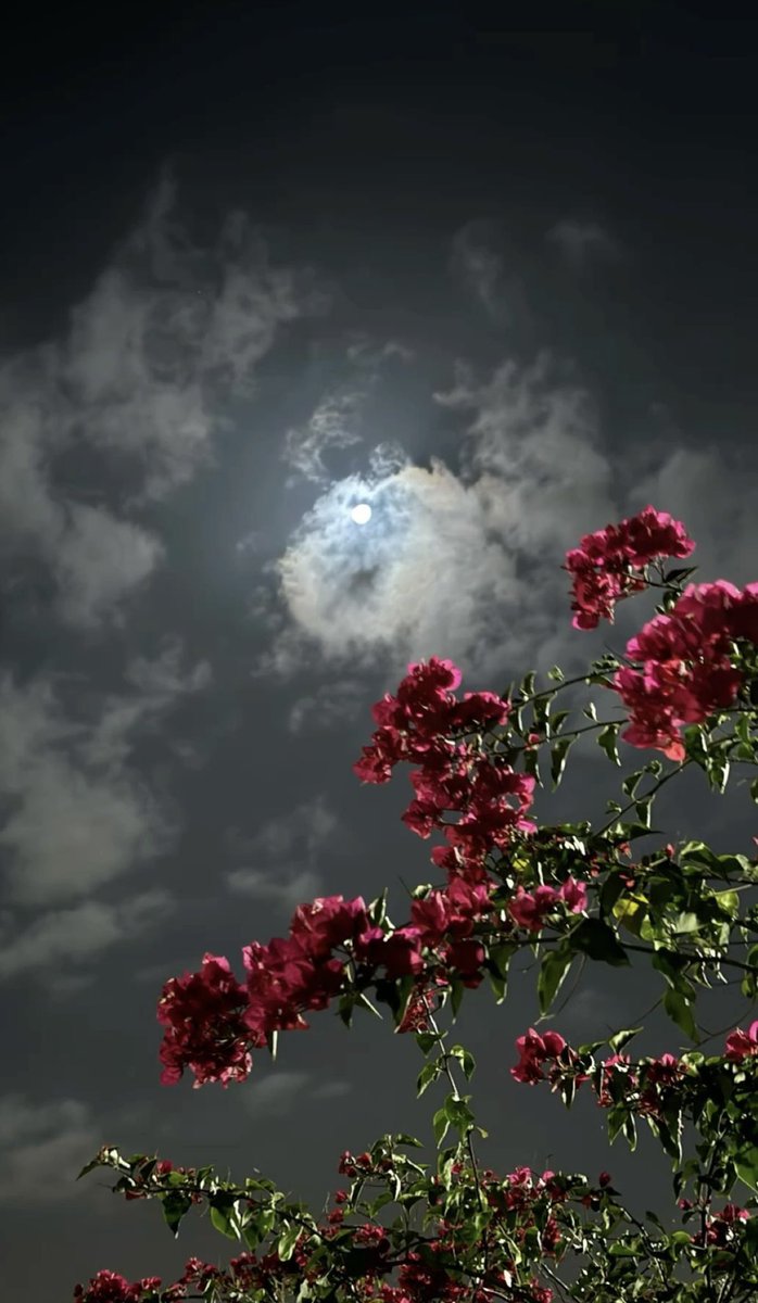 مرّة يختفي القمر، ومرّة يطل بخجل، كأنه يلعب لعبة الغميضة مع السماء ☁️