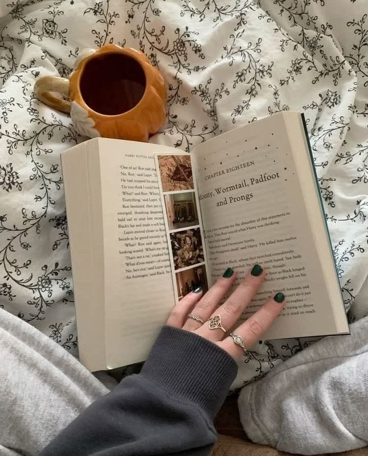 pagesandvibes's tweet photo. it's just me and my books https://t.co/ThlVKiyesb