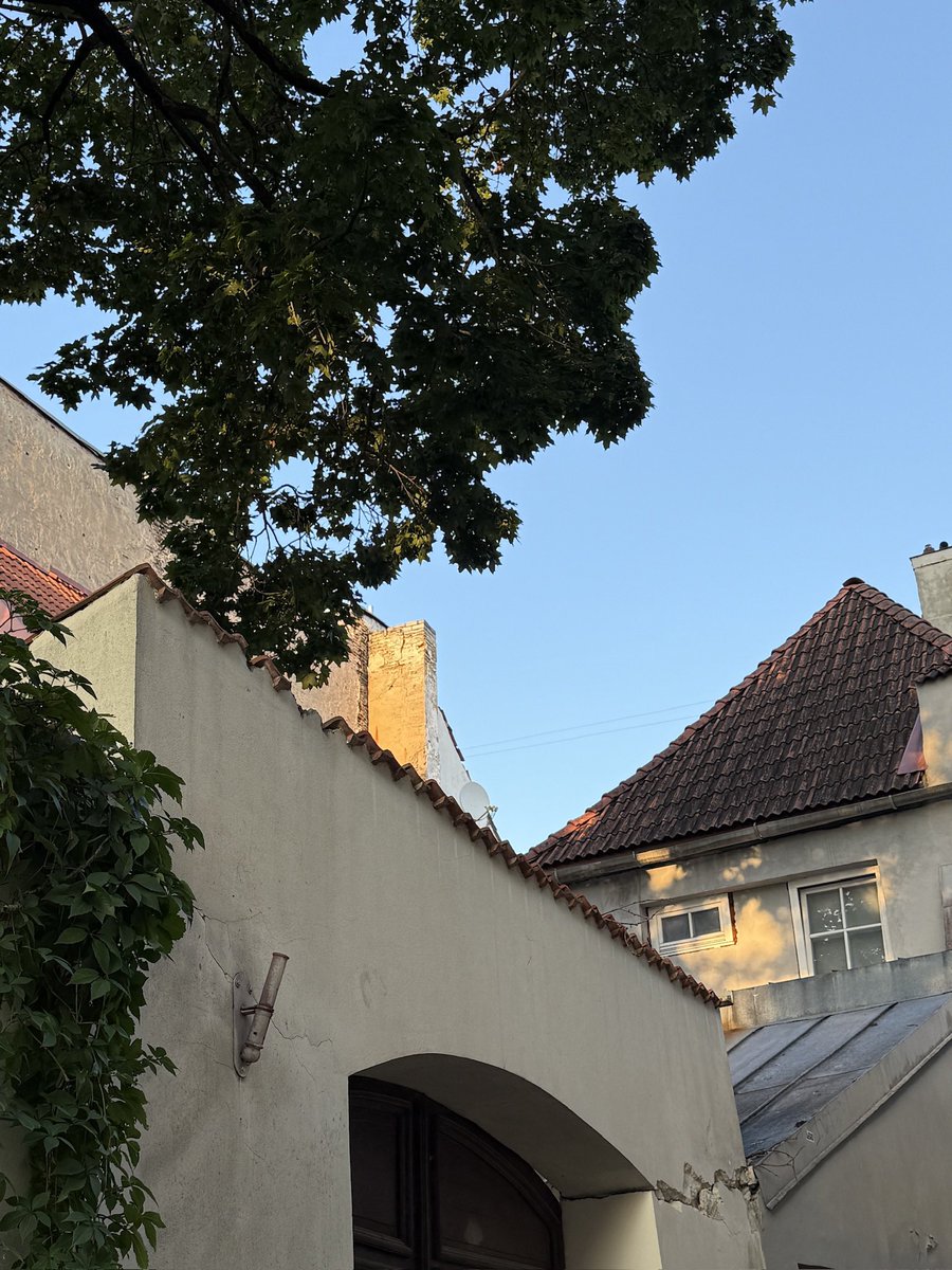 today's postcards of a beautiful tree !