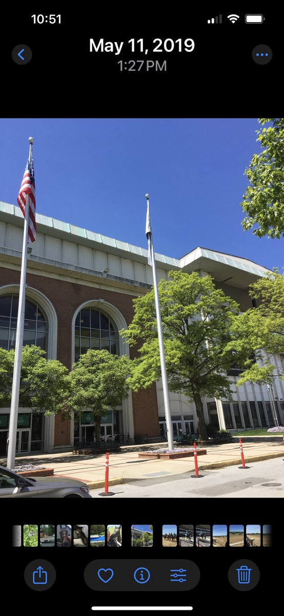 Nina Ledkovsky tweet media