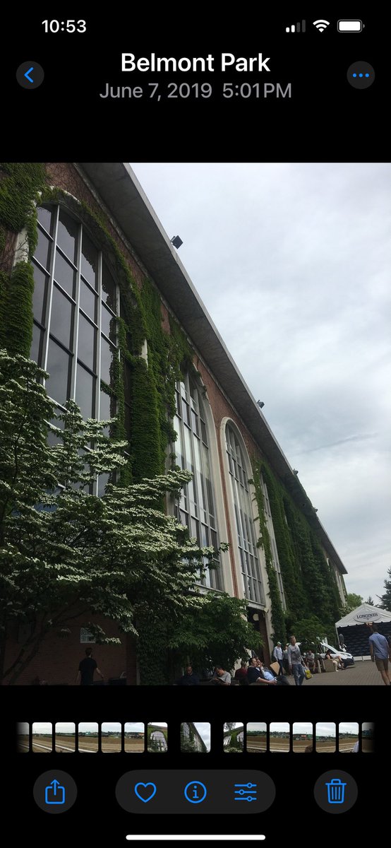 Nina Ledkovsky tweet media