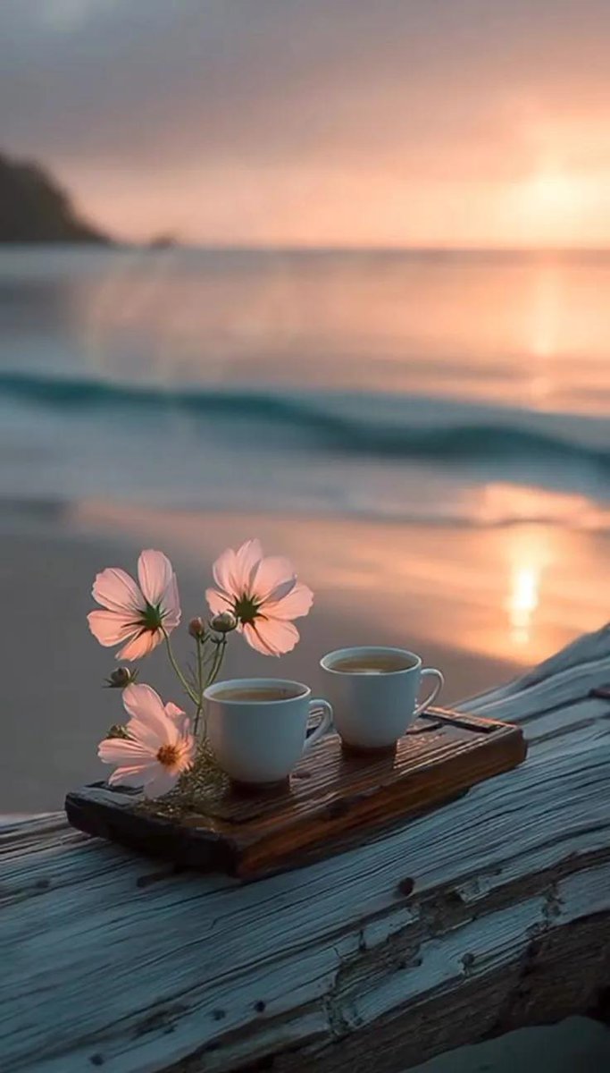 ....✍️✨️📚⚘️

 جمال الأشياء ببساطتها
وجمال القلوب بنقاوتها 🕊

مساااء جميل  وآمان لقلوب تشبهنا
وأمنيات تتحقق للجميع 🌺🍃

#مساء_الخير 
#رسالة_اليوم 
#حقيقة_يجب_ان_تدركها