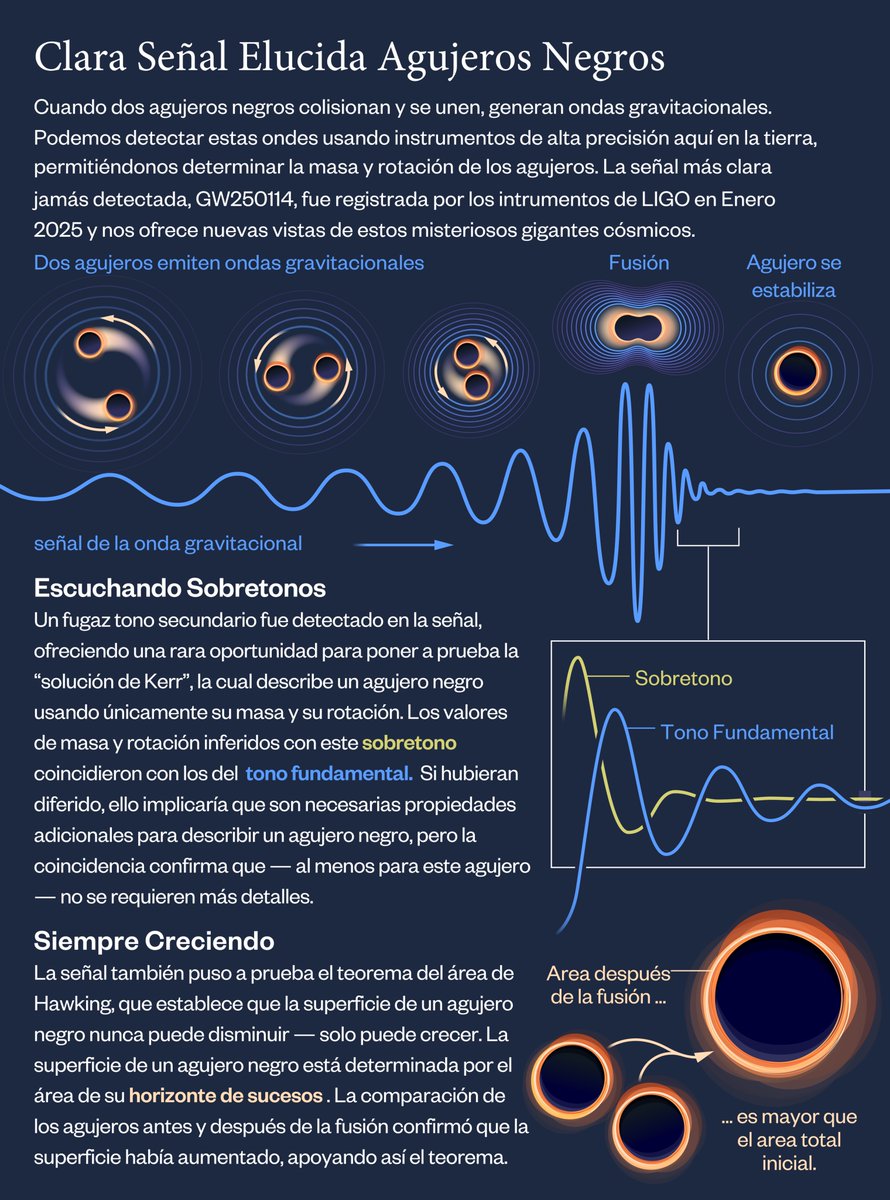 Maximiliano Isi tweet media