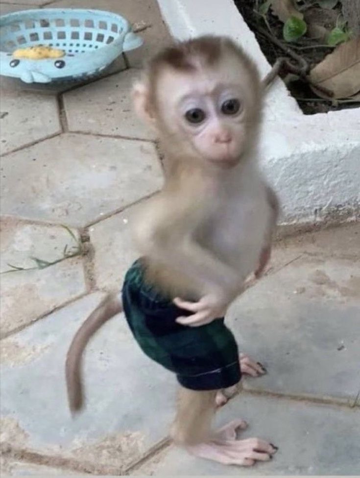 ugg.. (@luvuusy45) on Twitter photo 