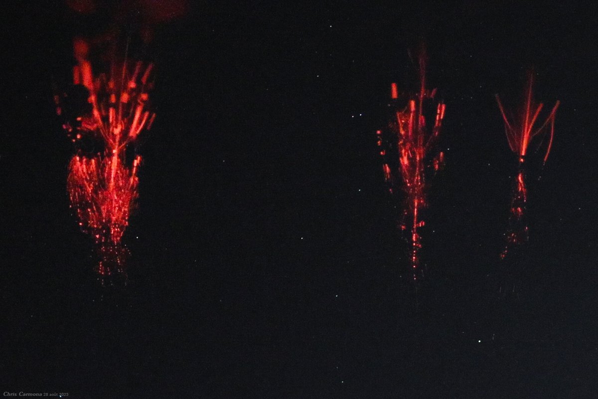 CCChrispic's tweet photo. Another specimen of the night of August 28, 2025, without context. A zoom in the sky, in another world, a red world. #sprite #RedSprite #TLE #thunderstorm #StormHour
HQ : https://t.co/mX4n9wp18U https://t.co/uqjkzIeWtI