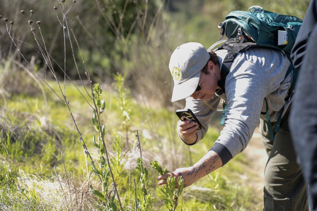 Ever spotted a plant or animal on the trail and wondered what it was? 🌿🐾 The iNaturalist app is a tool that helps you identify species just by snapping a photo. Upload your observation and get insight from image recognition technology and fellow nature enthusiasts and experts.