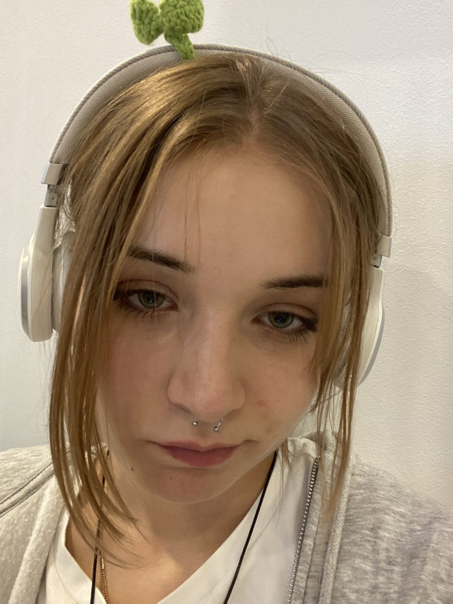 лечу в бельгию