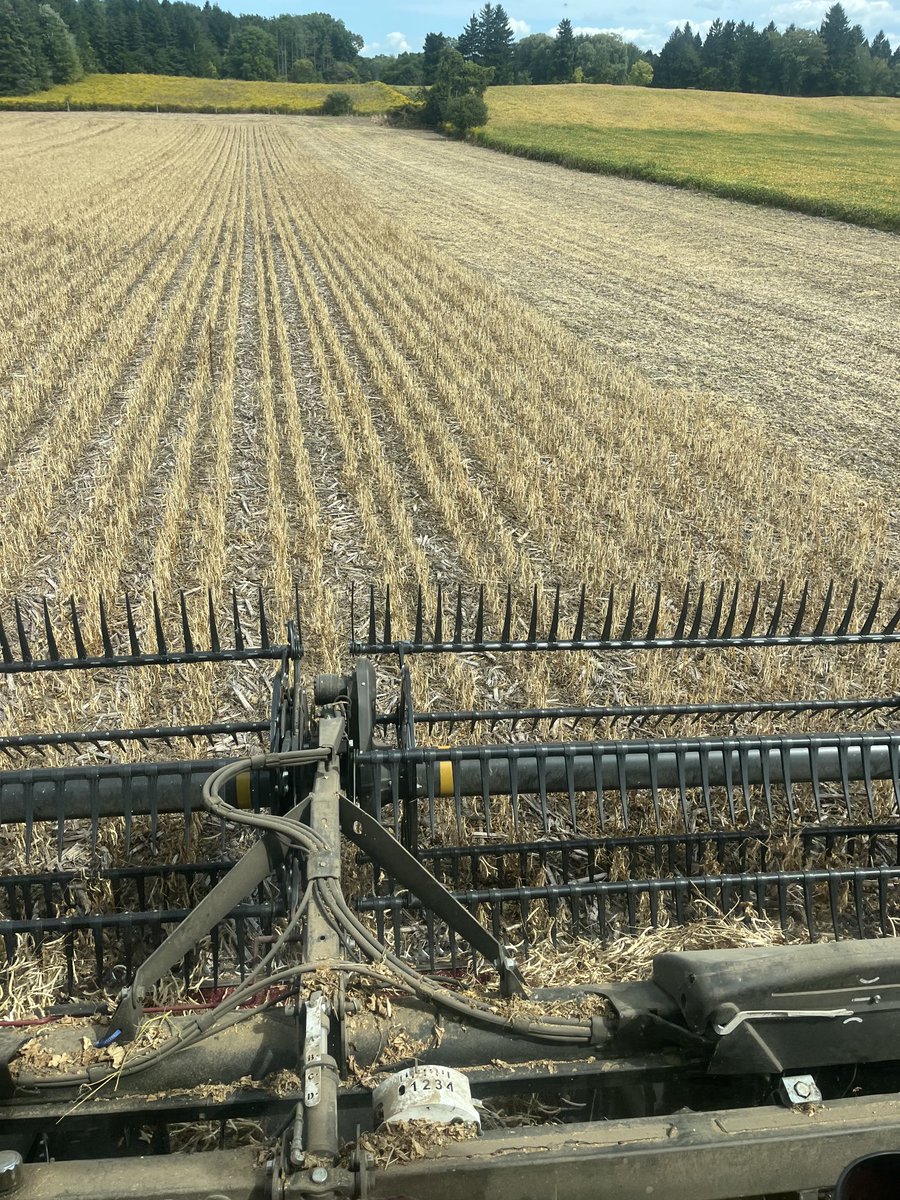 #harvest25 is really efficient you don’t waste time going to the truck to dump #drought #smallredkidney